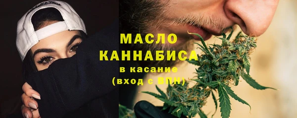 крисы Няндома