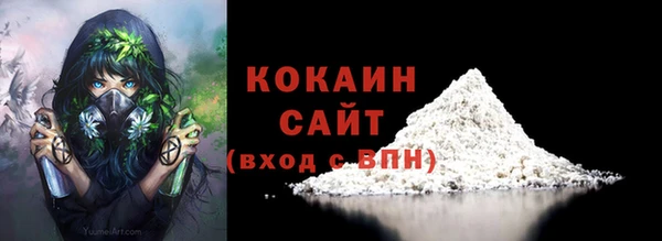 крисы Няндома