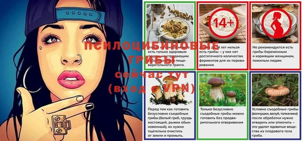 крисы Няндома